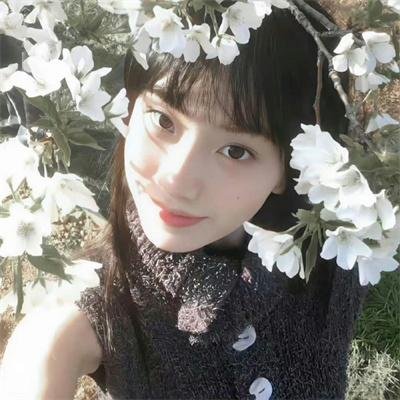 真假森林王